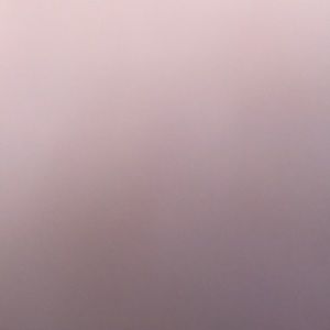 Meet your Posher, Peyton